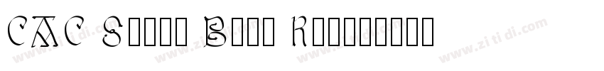 CAC Saxon Bold Regul字体转换 CAC Saxon Bold Regul字体转换